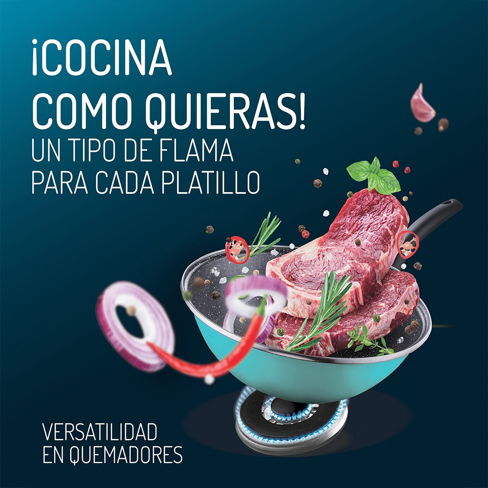 Versatilidad en Quemadores Versatilidad en Quemadores