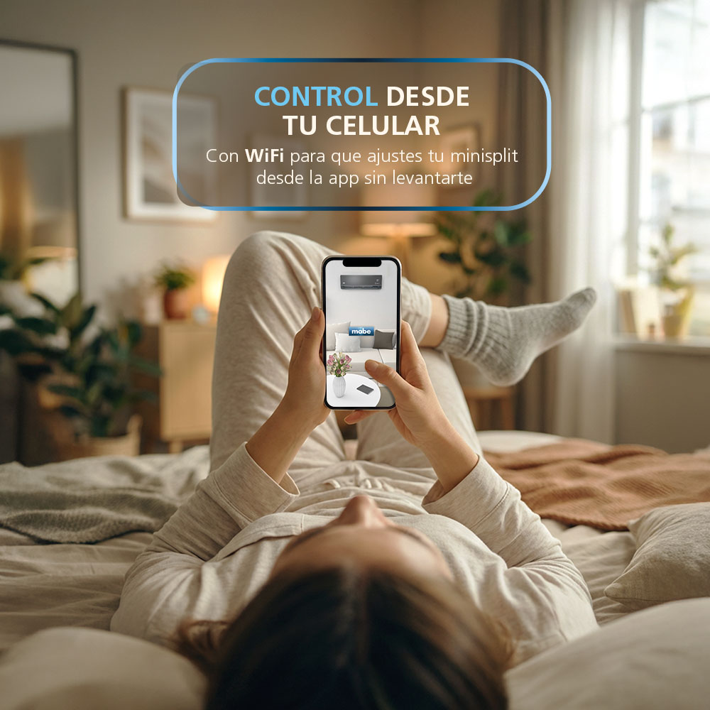 Conectividad WIFI Conectividad WIFI